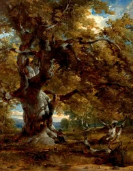 Le Major Oak, 1844